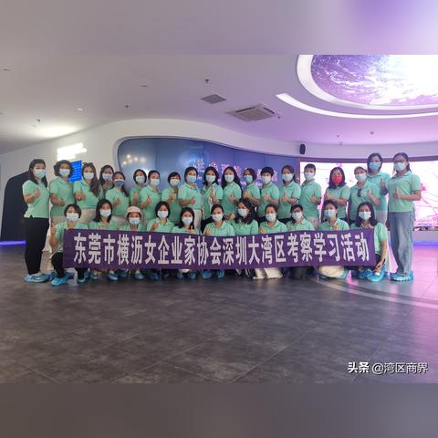 在“工作细胞”游戏中探索人体奥秘，感受细胞团结合作的力量与乐趣！