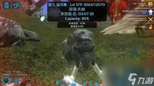 在泰国版最后的英雄：血腥战场上的传奇之旅-泰国版最终英雄情结。
