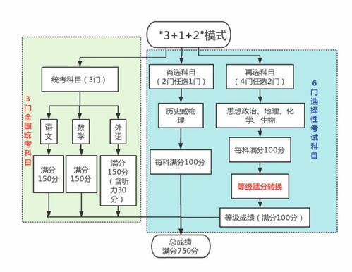 2024新澳正版免费资料的特点|多元化方案执行策略_组件集.4.813